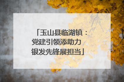 玉山县临湖镇：党建引领添助力 银发先锋展担当
